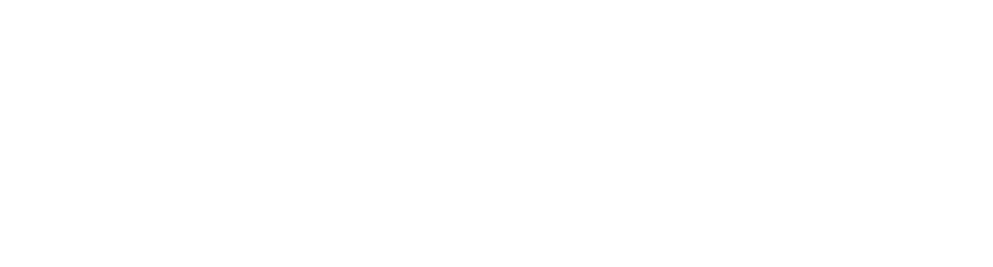 BridgeSouth Capital Logo